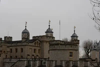 DSC_5902 (Large).JPG